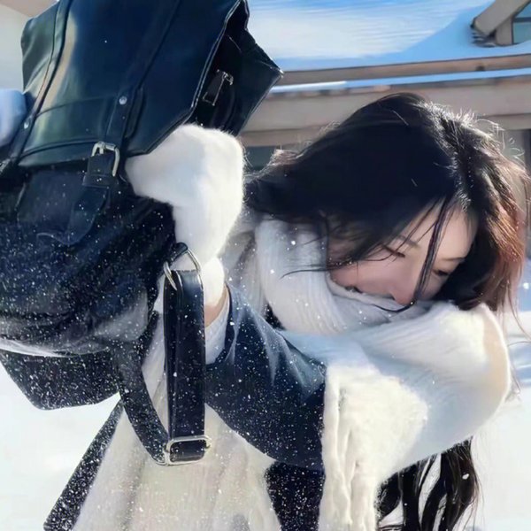 鸡密真相